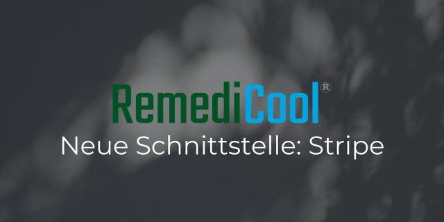 RemediCool Schnittstelle Stripe